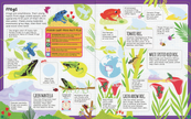 Jungle Sticker Facts Sticker Book