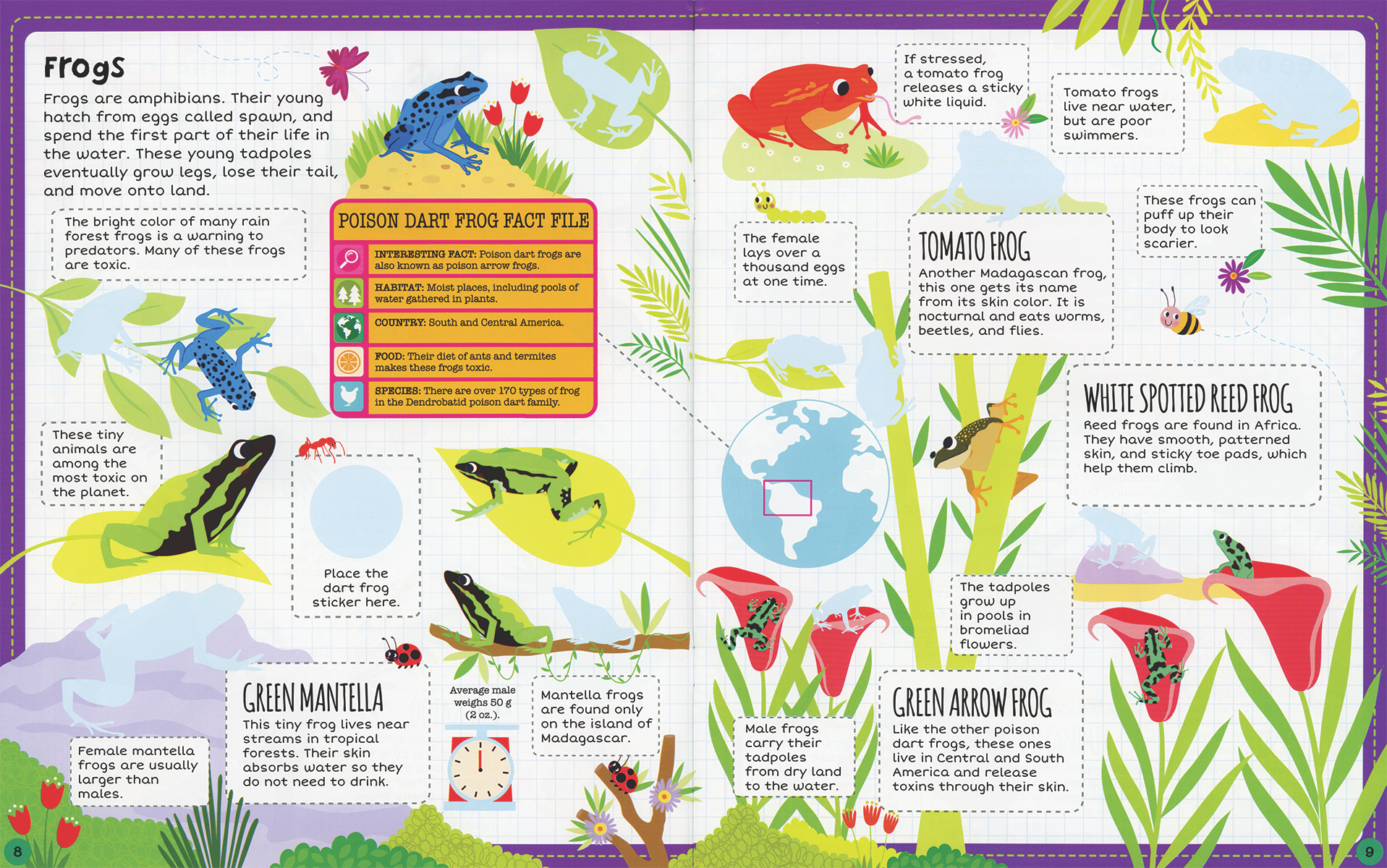 Jungle Sticker Facts Sticker Book