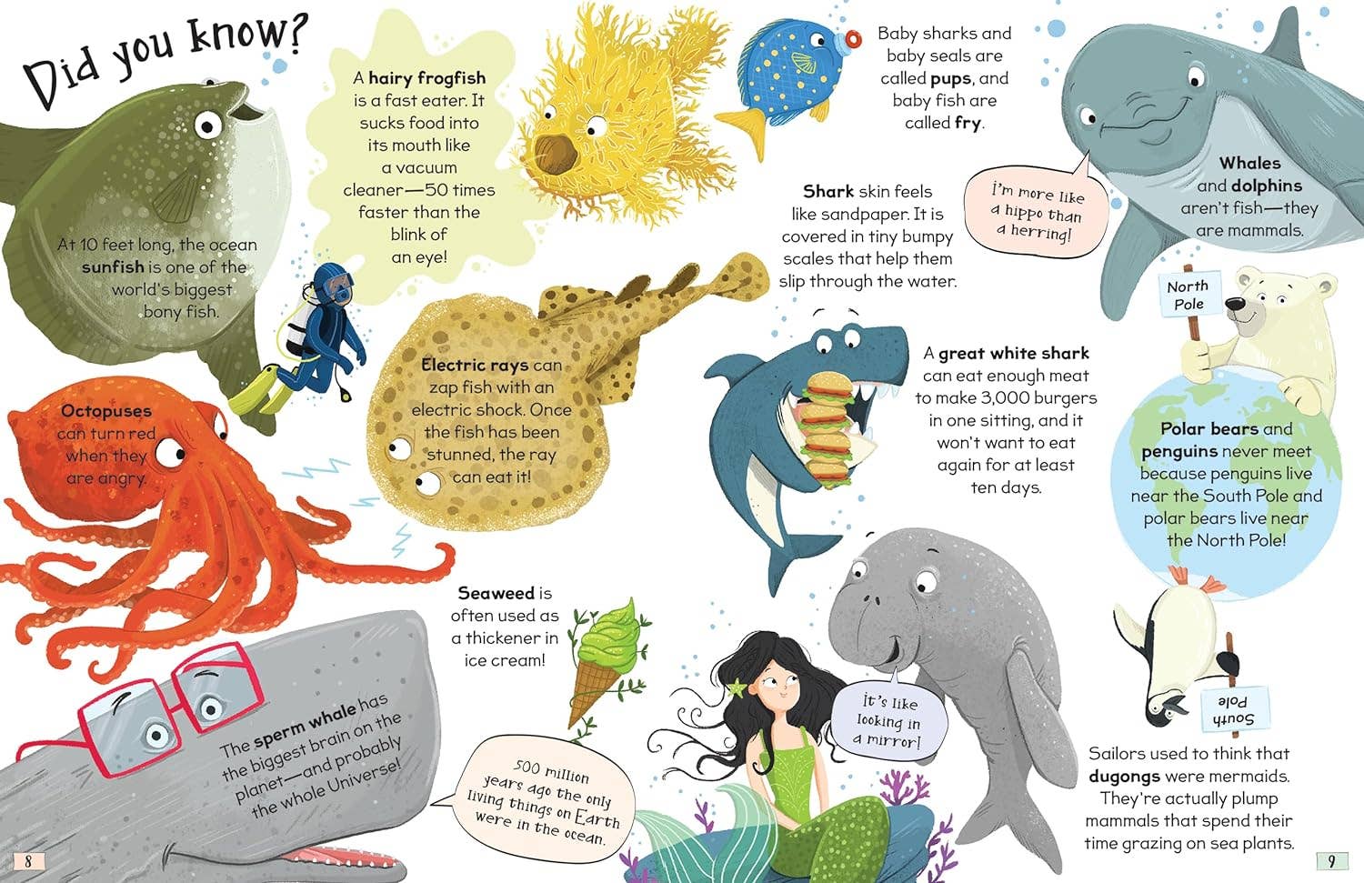 Curious Questions and Answers About Our Oceans Hardcover Book