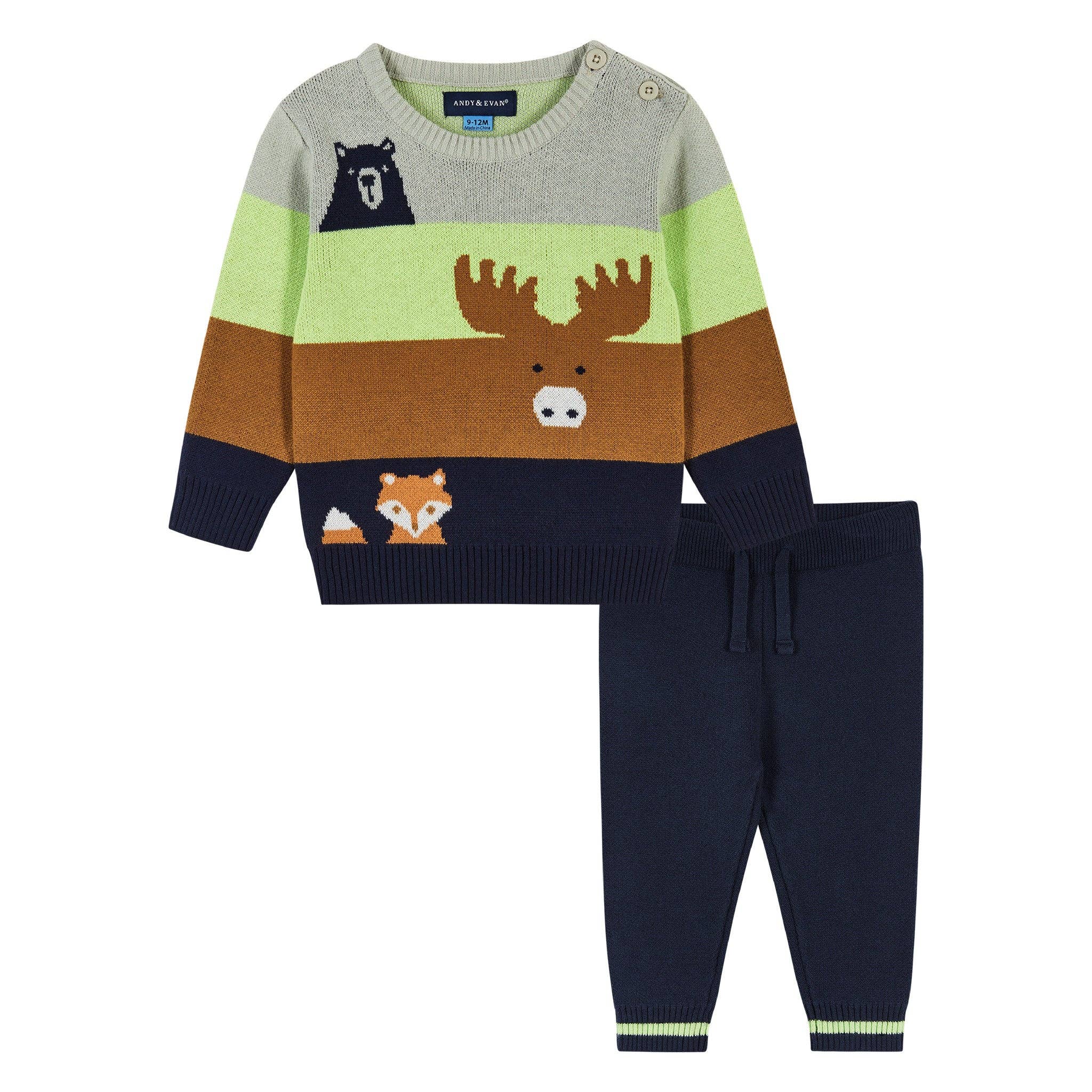 Boys Baby Colorblocked Forest Animals Sweater Set