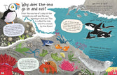 Curious Questions and Answers About Our Oceans Hardcover Book
