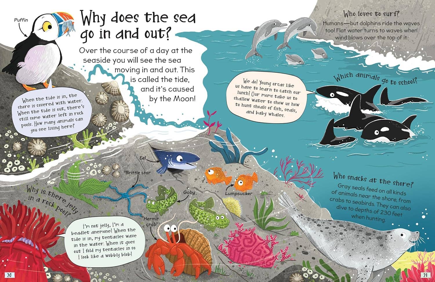 Curious Questions and Answers About Our Oceans Hardcover Book