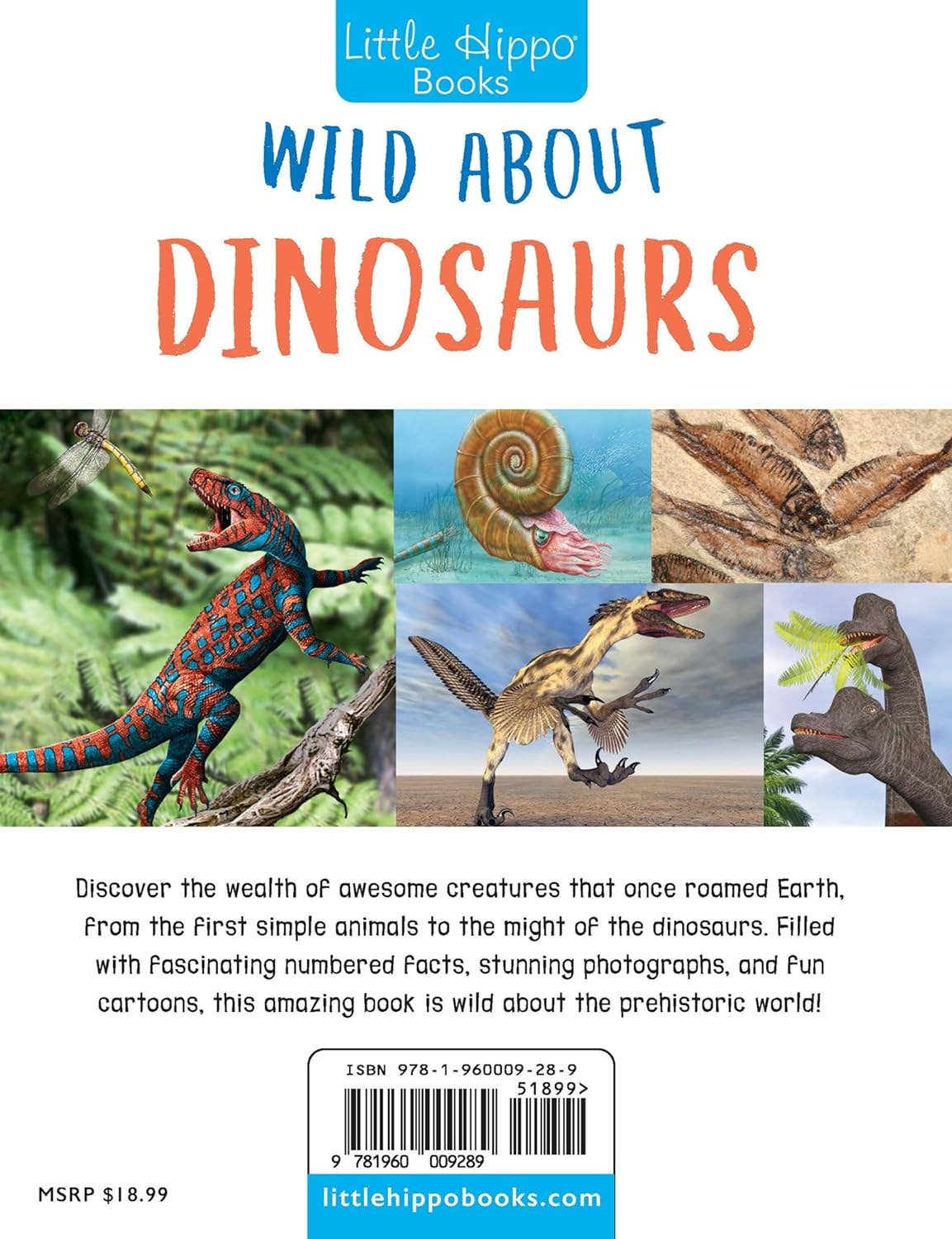 Wild About Dinosaurs Hardcover Book