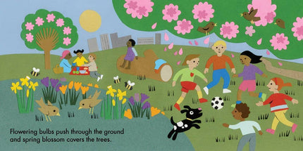Little Observers: In the Park Board Book