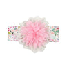 Pinkalicious Headband