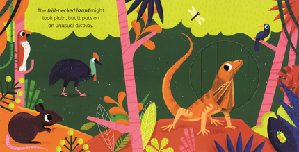 In the Jungle Board Book