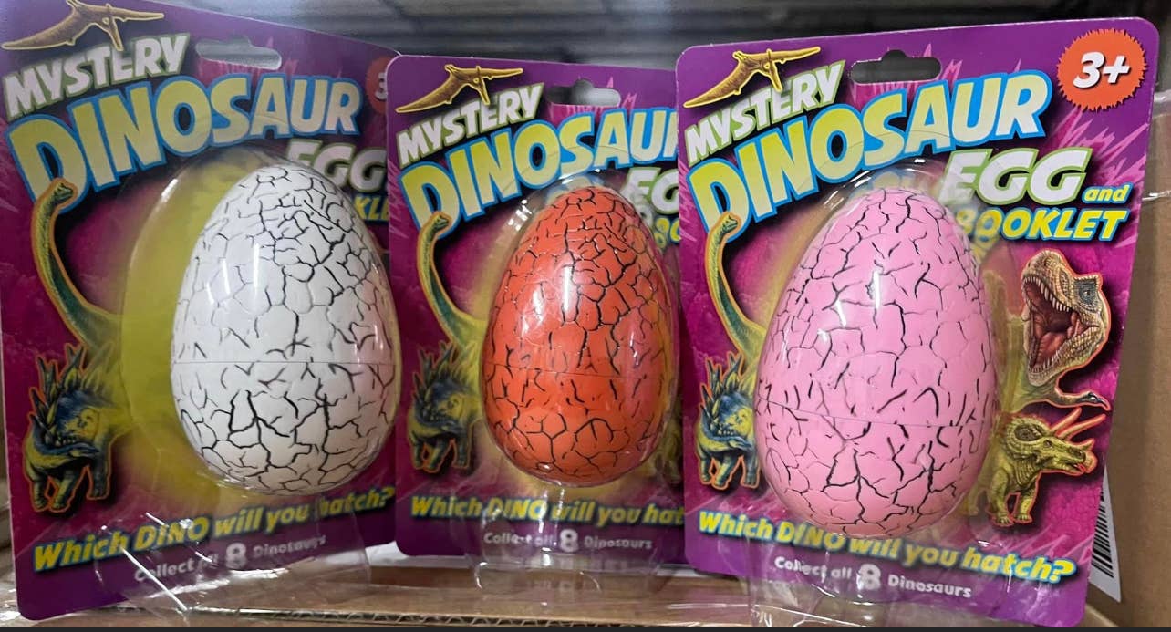 Mystery Dinosaur Egg and Booklet