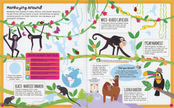 Jungle Sticker Facts Sticker Book