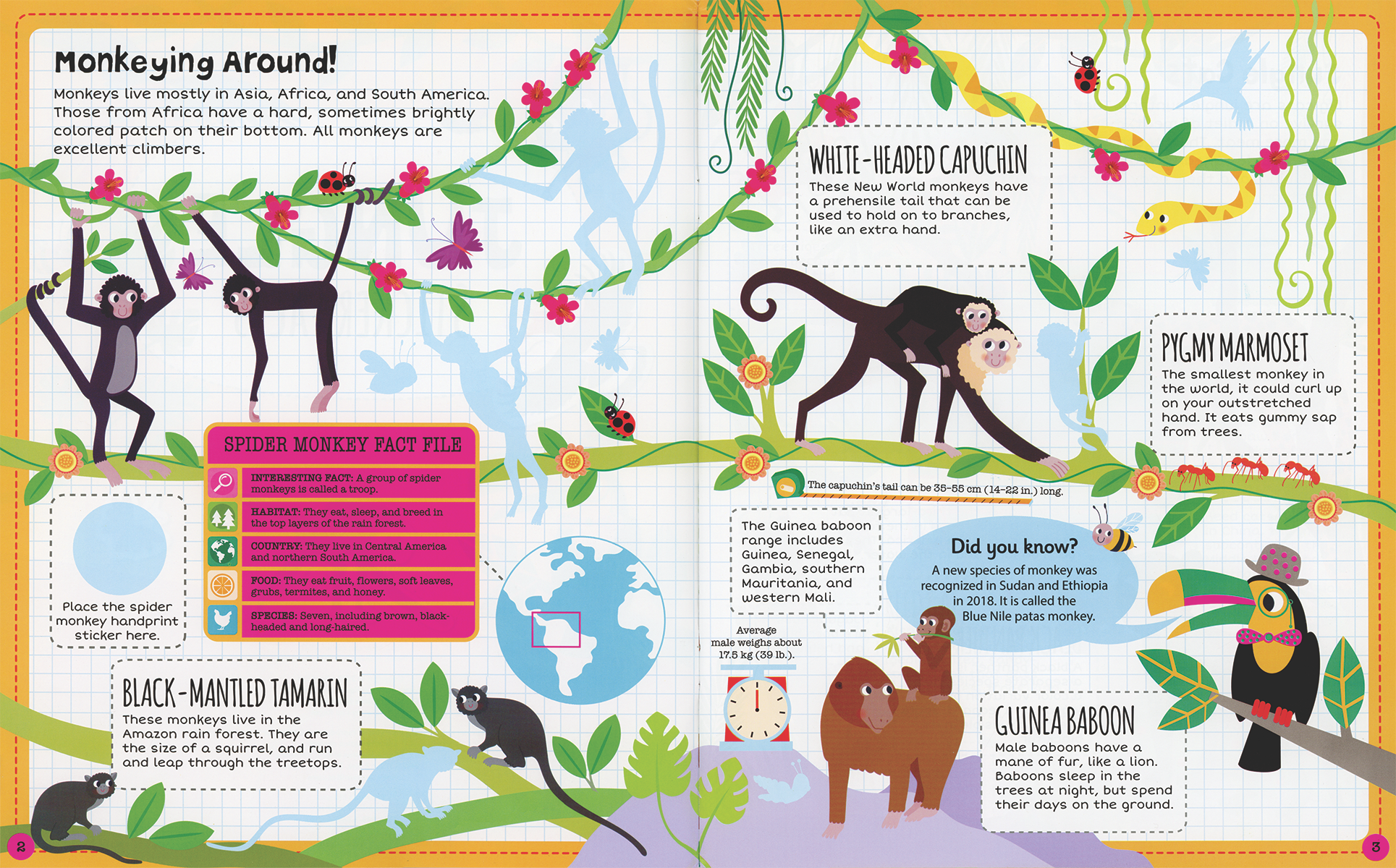 Jungle Sticker Facts Sticker Book