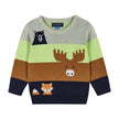 Boys Baby Colorblocked Forest Animals Sweater Set