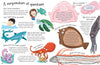 Curious Questions and Answers About Our Oceans Hardcover Book