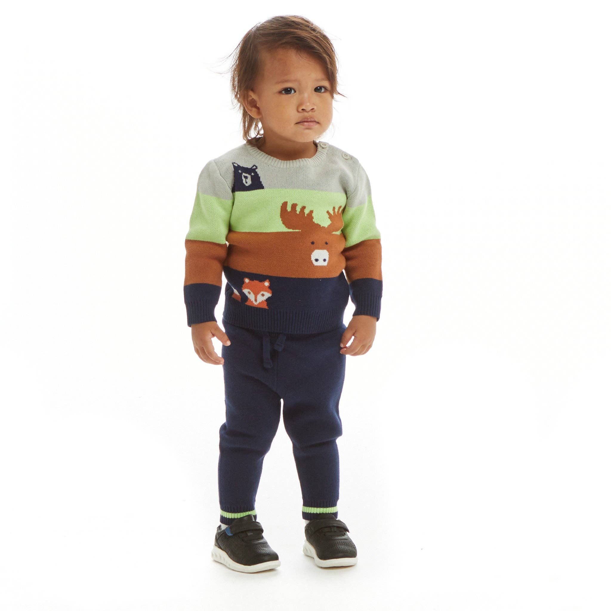 Boys Baby Colorblocked Forest Animals Sweater Set