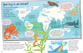 Curious Questions and Answers About Our Oceans Hardcover Book