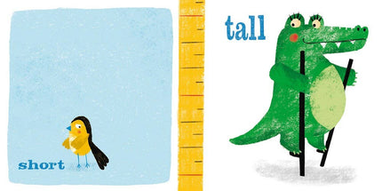 Big Friends, Little Book Board Book
