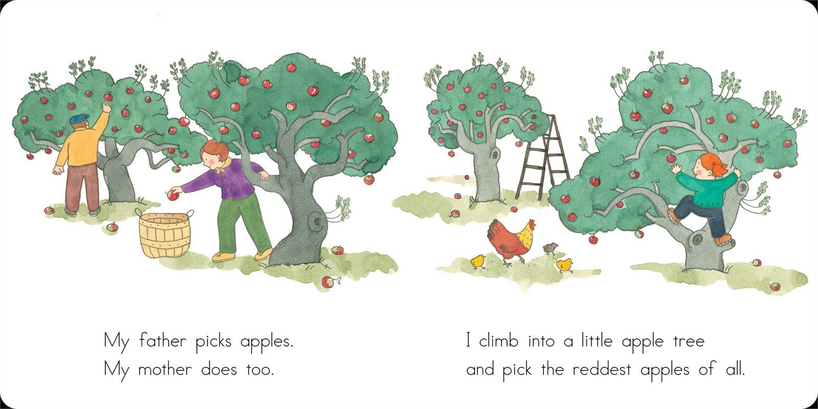 Apples and Pumpkins Board Book