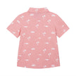 Boys Knit Buttondown - Faded Red