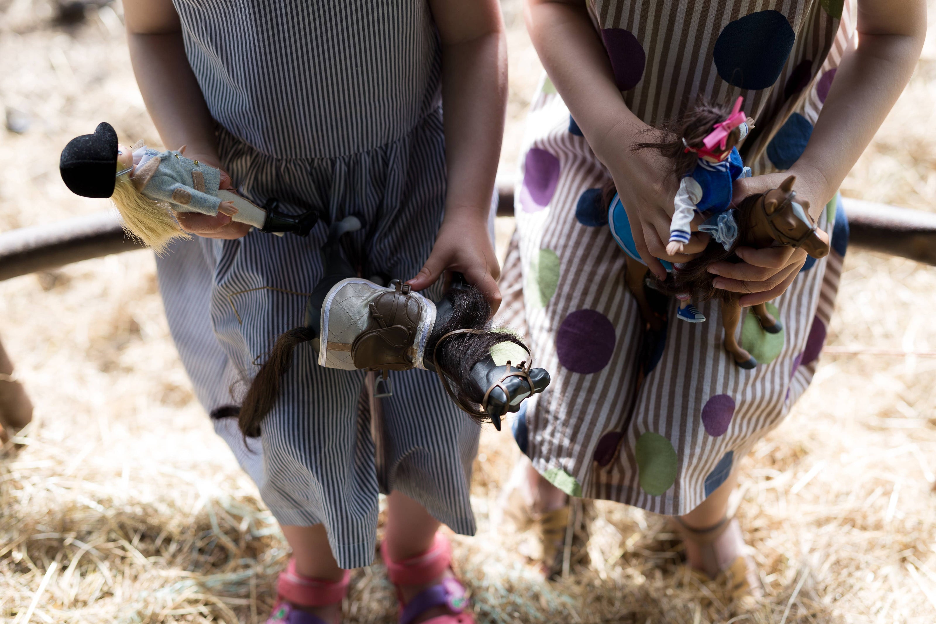 Toy Horse | Sirius the Welsh Mountain Pony | Lottie Dolls