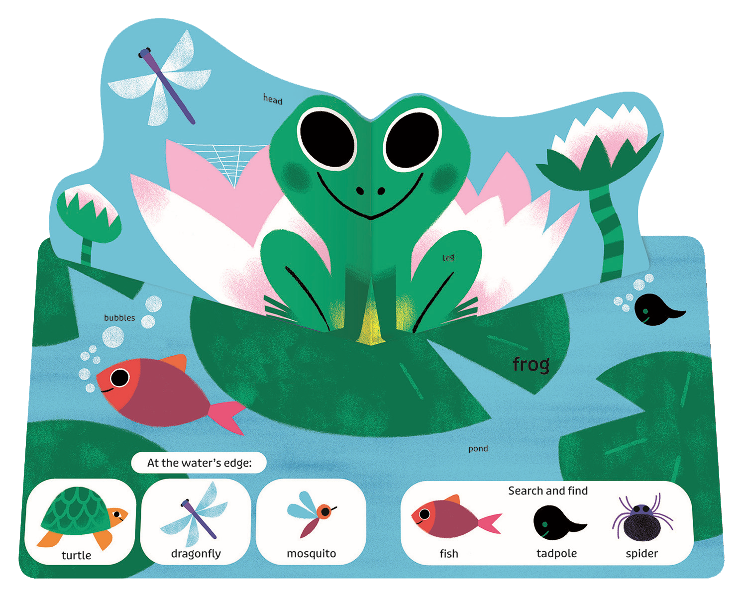 Pop Pop Pop: Bugs and Other Small Things Board Book