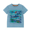 T-shirt Set - Blue Sharks