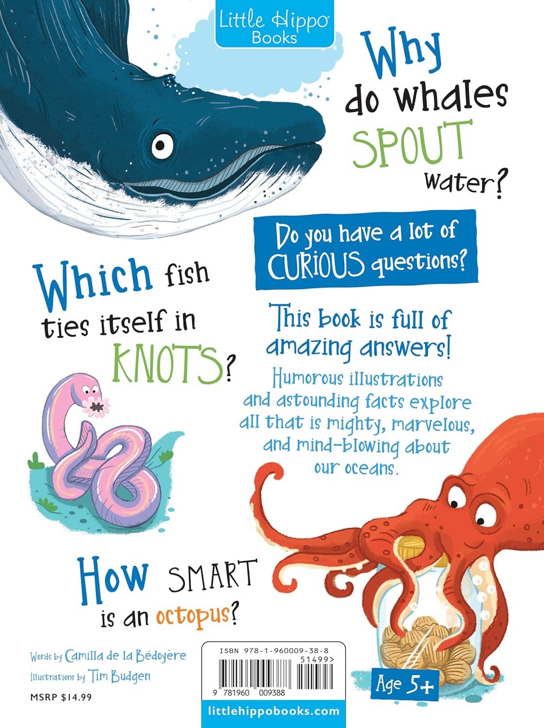 Curious Questions and Answers About Our Oceans Hardcover Book