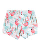 Vibrant Flamingo Swim Shorties