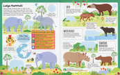 Jungle Sticker Facts Sticker Book
