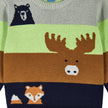 Boys Baby Colorblocked Forest Animals Sweater Set