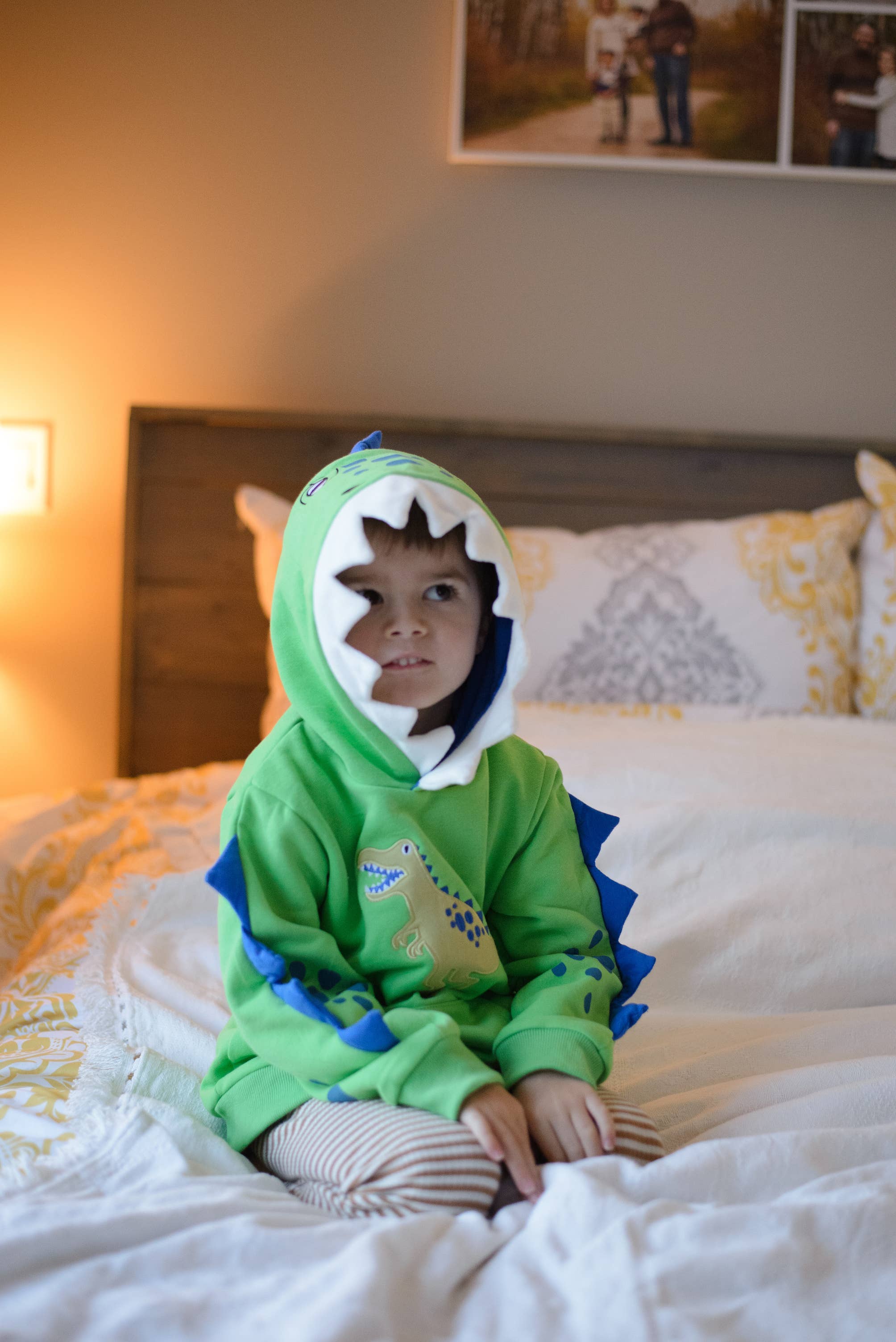 Spiky Dino Toddler and Kids 3D Hoodie