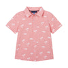 Boys Knit Buttondown - Faded Red