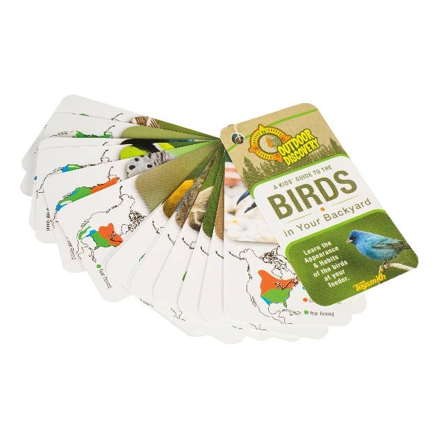 Little Birder Set Toy