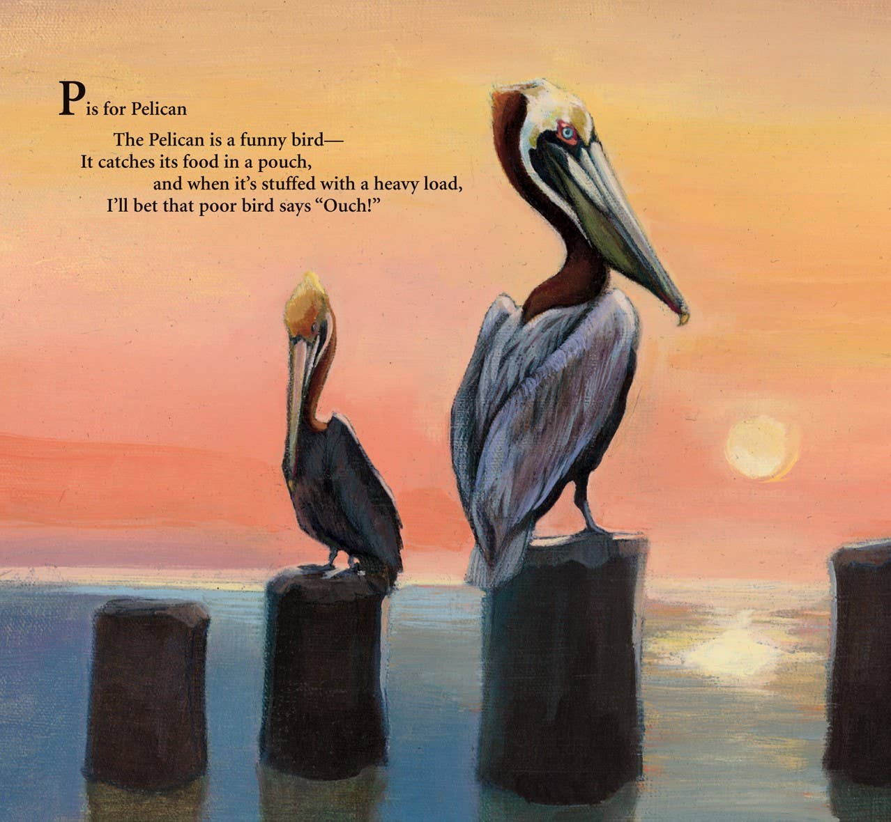 P is for Pelican: A LOUISIANA Alphabet Hardcover Book