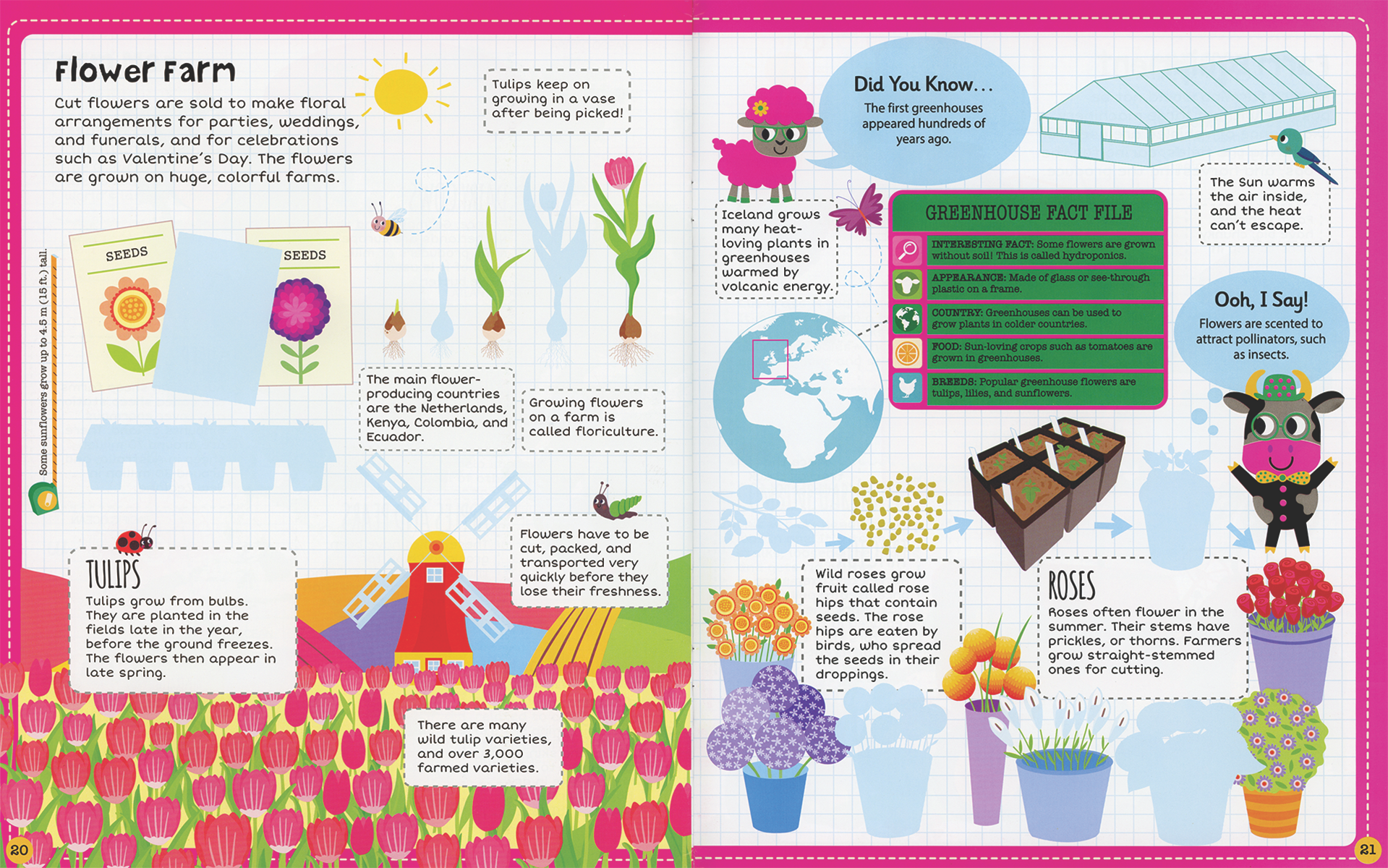 Farm, Sticker Facts Sticker Book