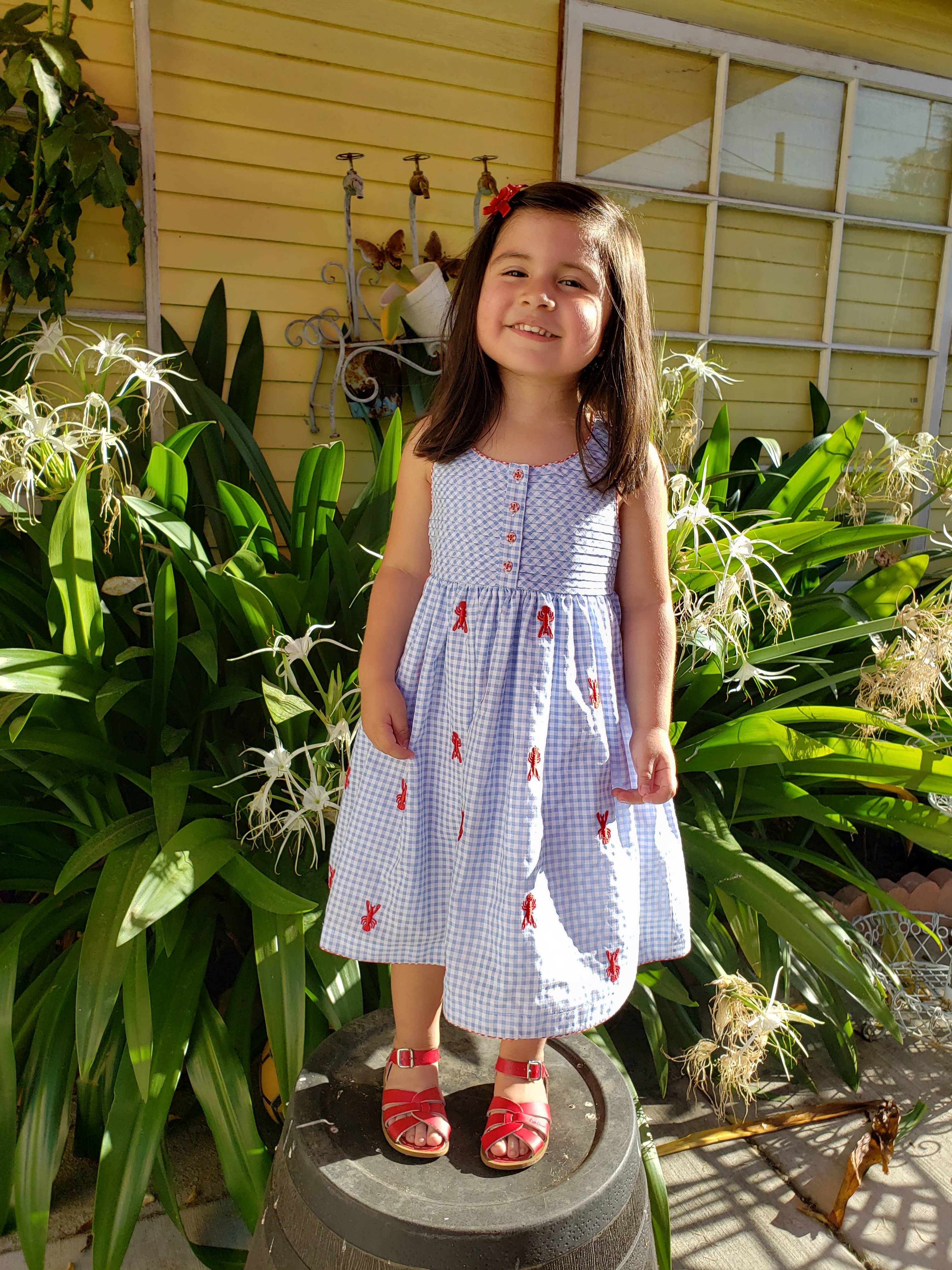 Lobster Empire Embroidered Gingham Dress