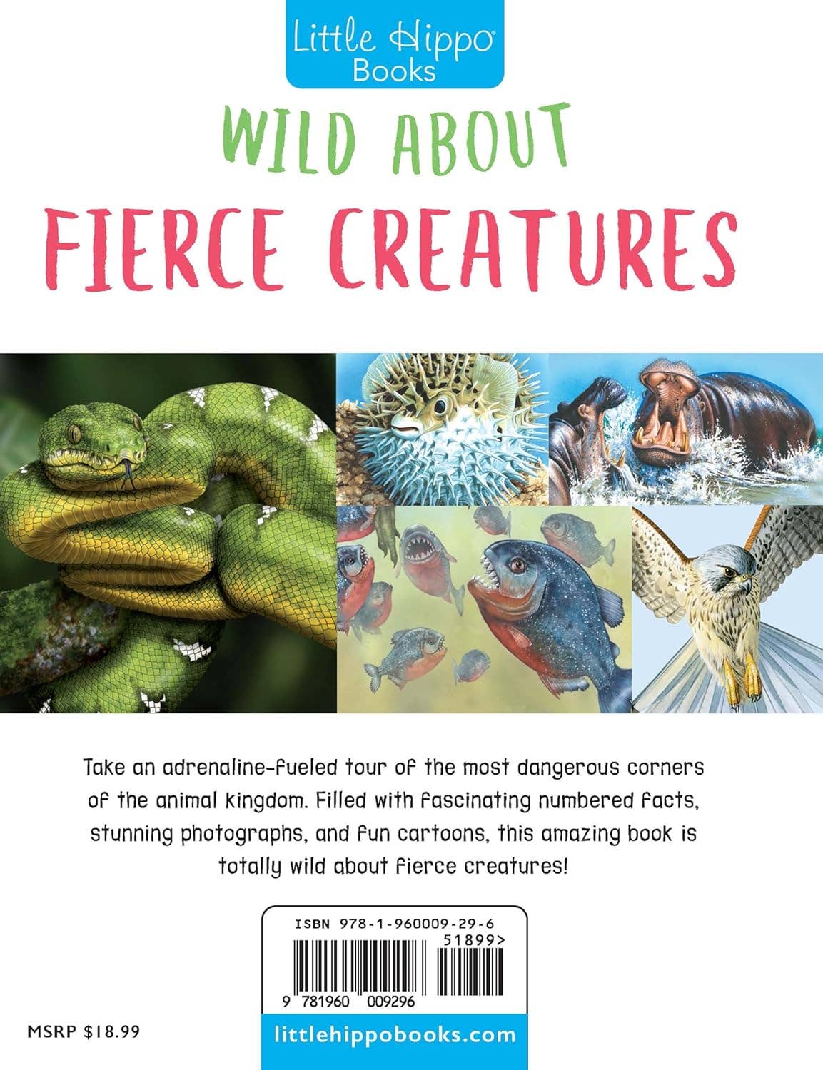 Wild About Fierce Creatures Hardcover Book