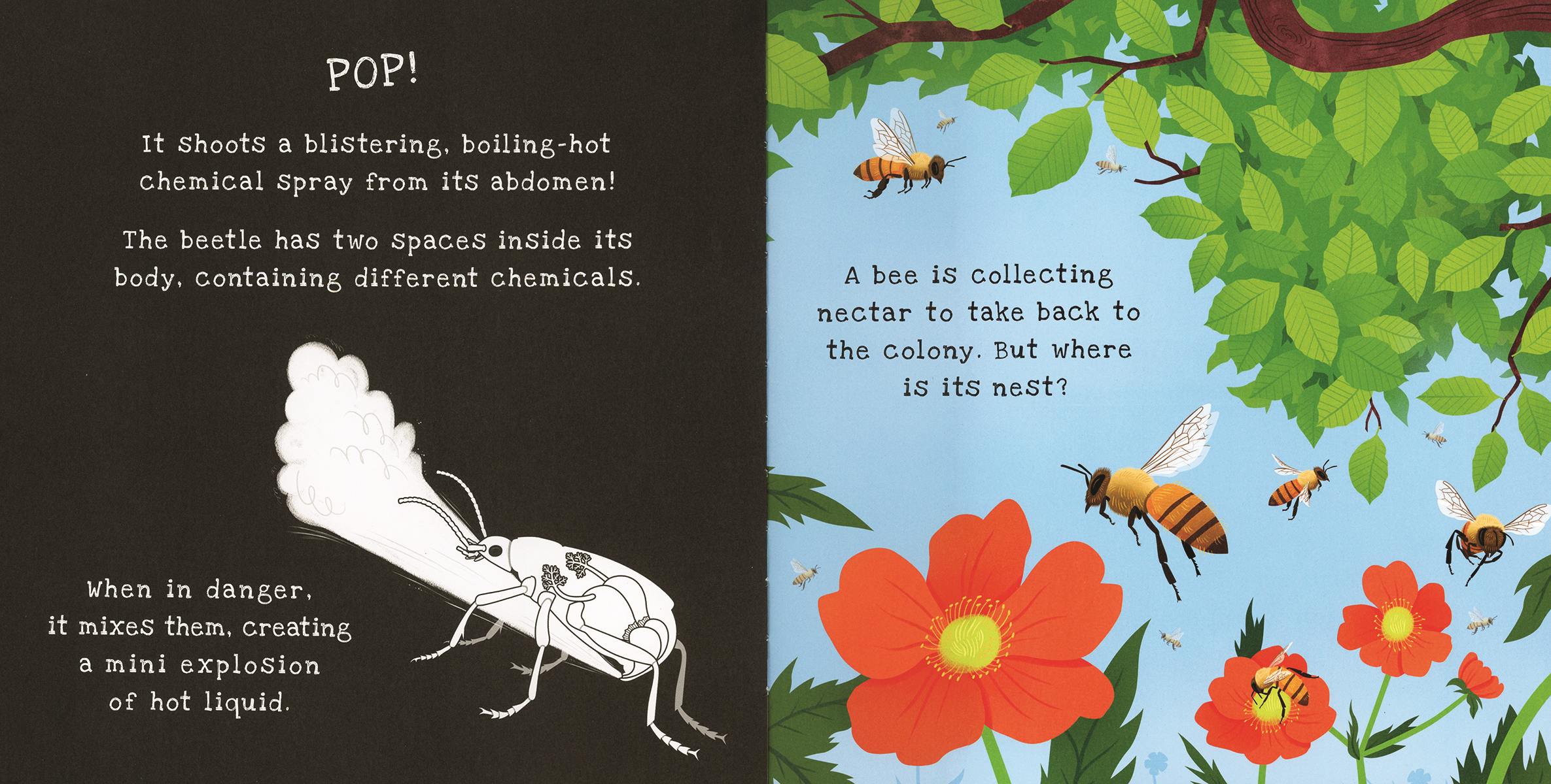 Shine-A-Light, Backyard Bugs Hardcover Book