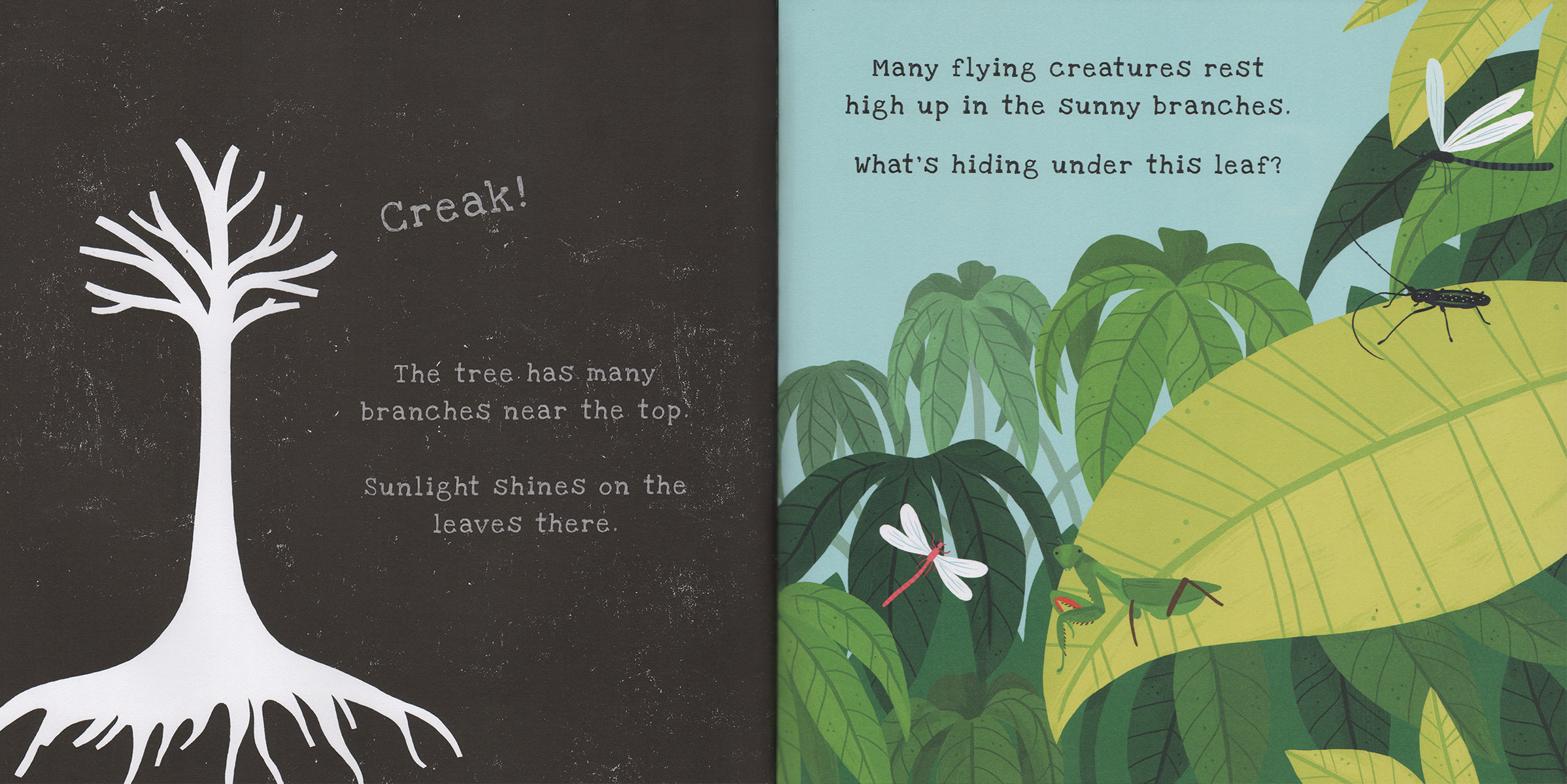 Shine-A-Light: Secrets of the Rain Forest Hardcover Book