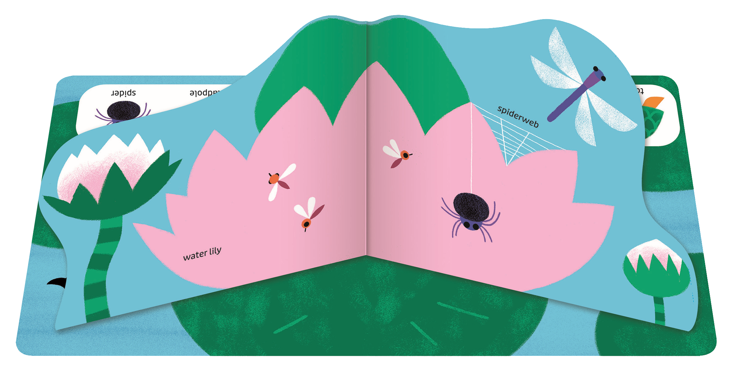 Pop Pop Pop: Bugs and Other Small Things Board Book