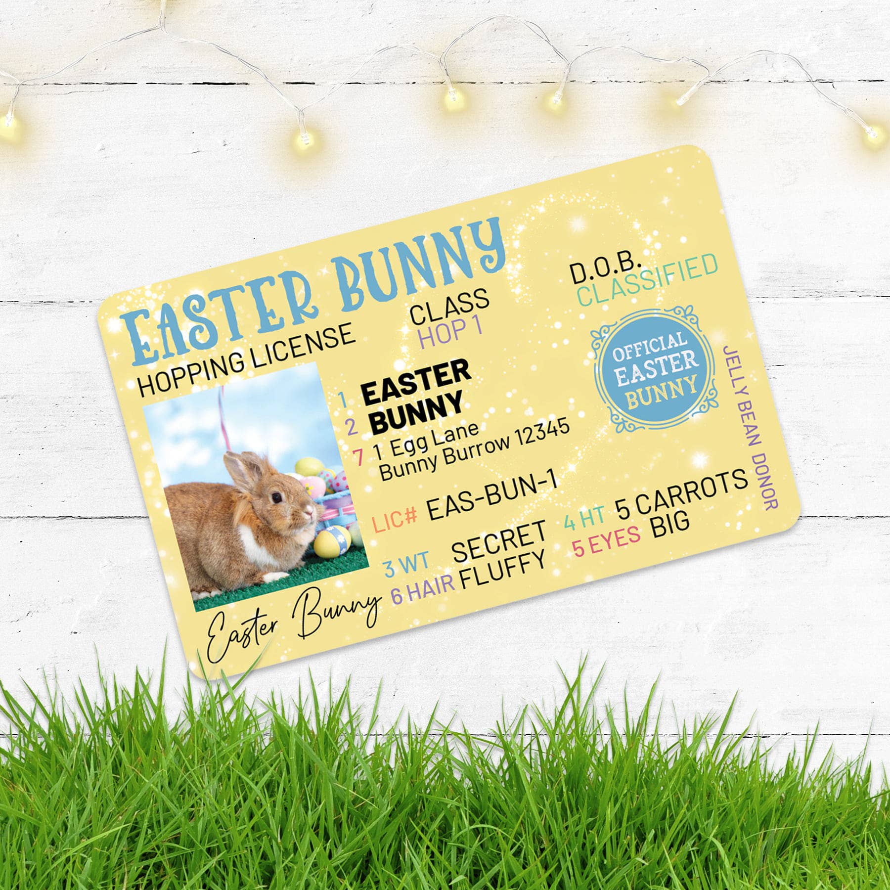 Easter Bunny Lost Hopping License/Unpackaged