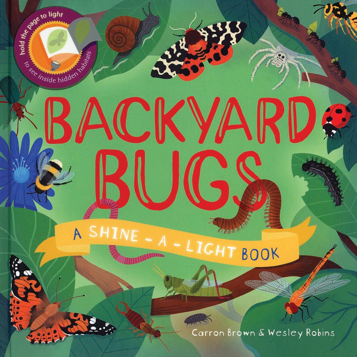 Shine-A-Light, Backyard Bugs Hardcover Book