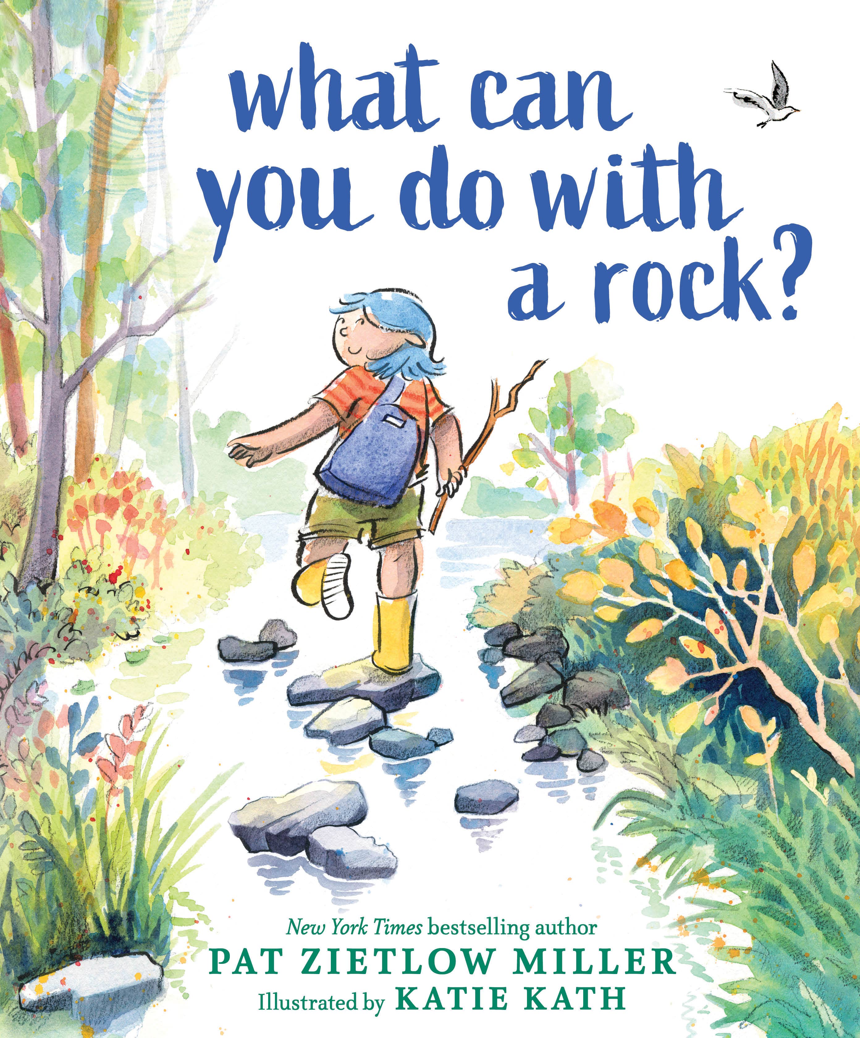 What Can You Do with a Rock? (NYT bestselling author) Hardcover book